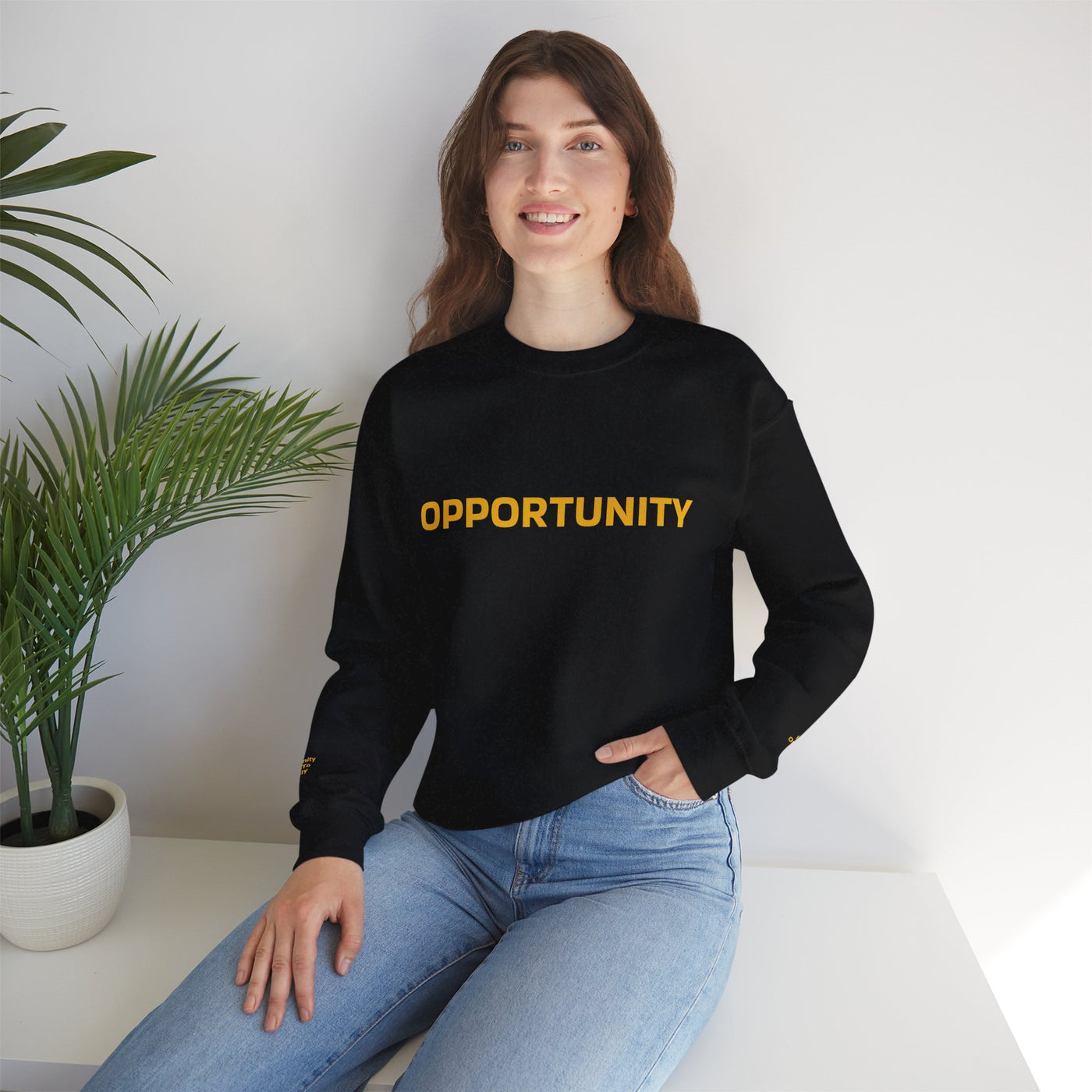I Attract Opportunity Everyday