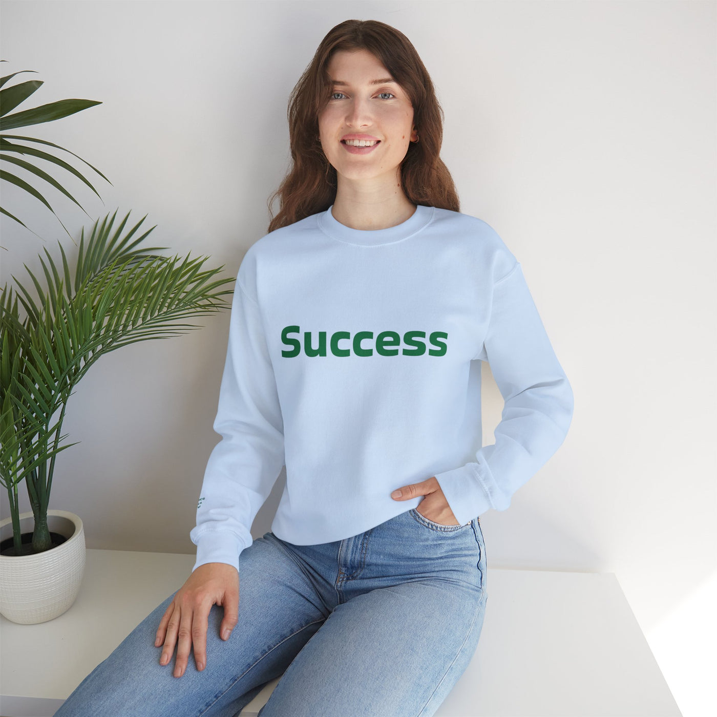 I Attract Success Daily