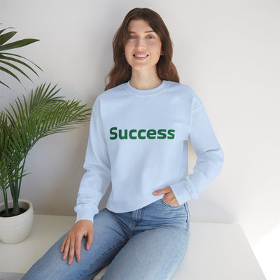 I Attract Success Daily