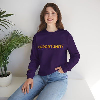 I Attract Opportunity Everyday