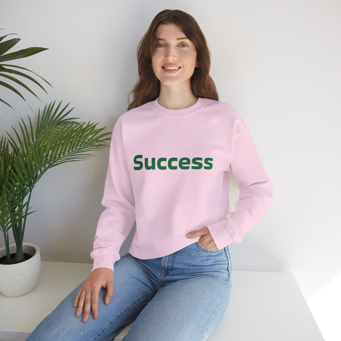 I Attract Success Daily