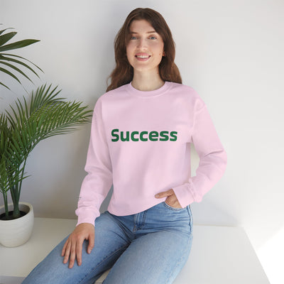 I Attract Success Daily