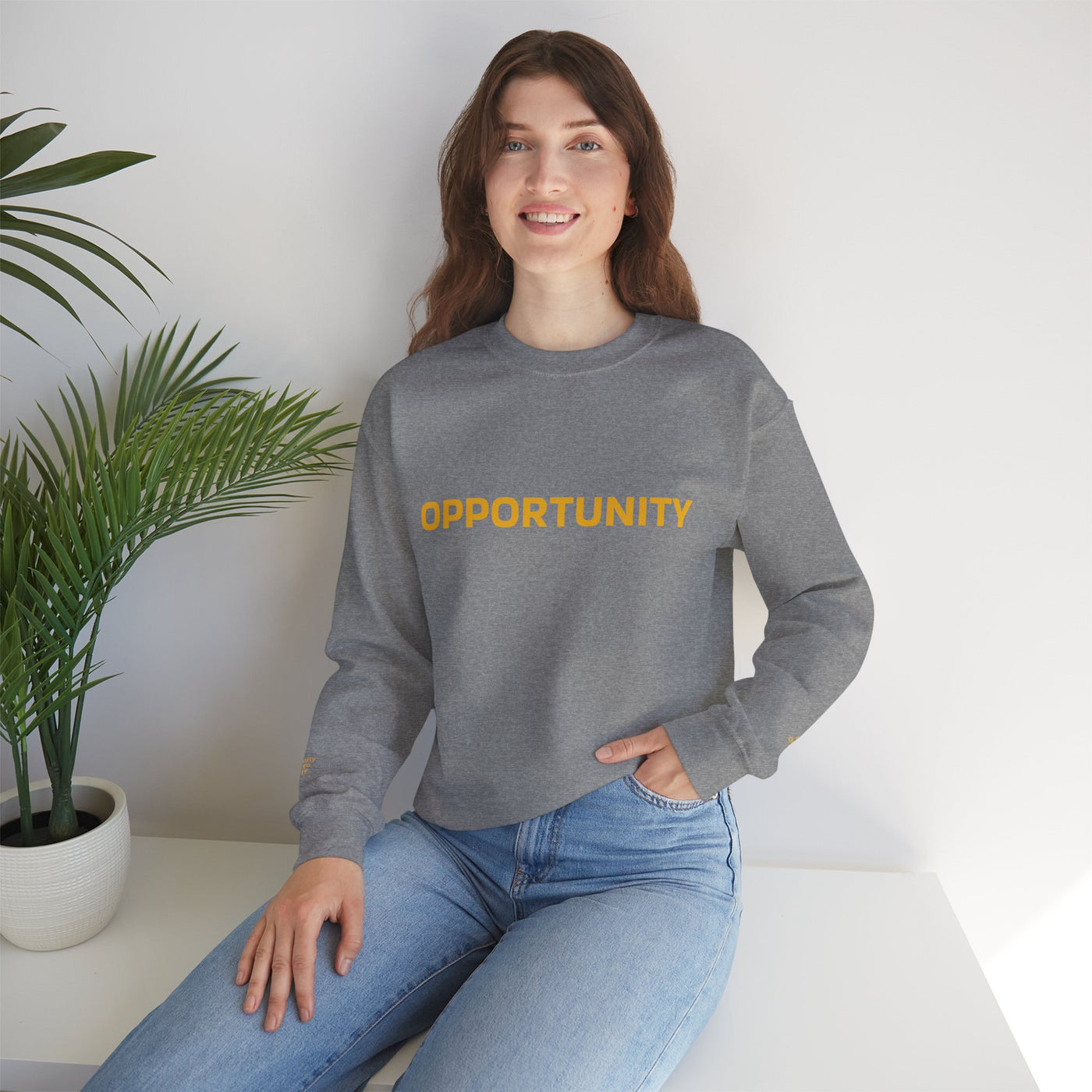 I Attract Opportunity Everyday