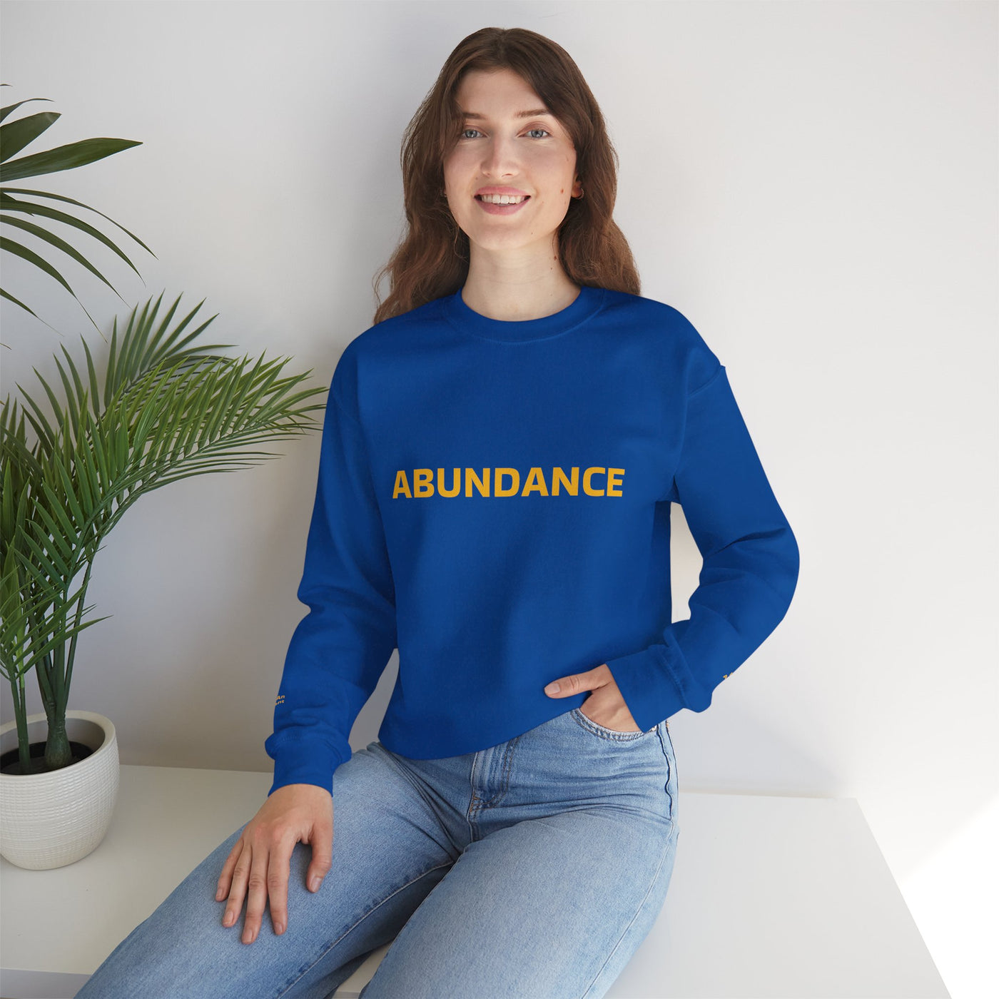 I Attract Abundance Everyday