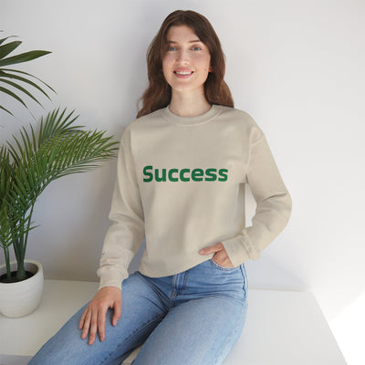 I Attract Success Daily