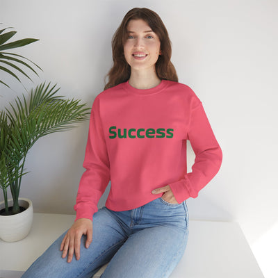 I Attract Success Daily