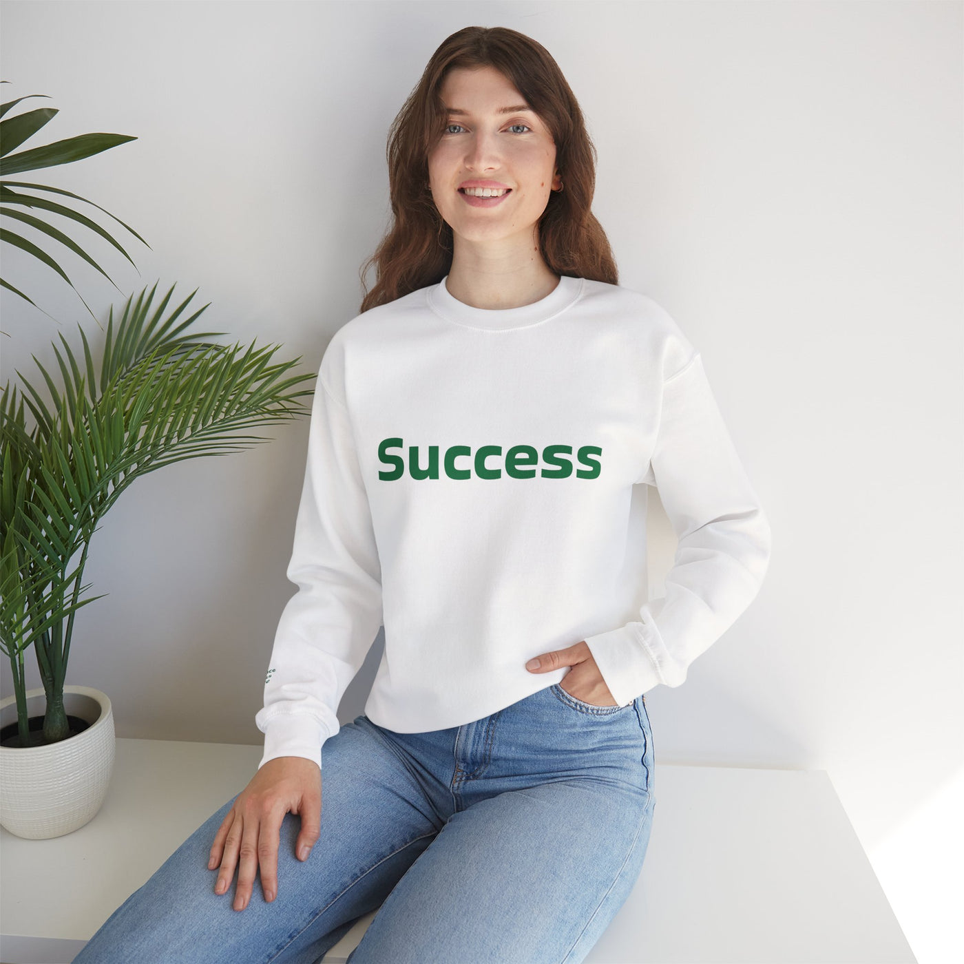 I Attract Success Daily