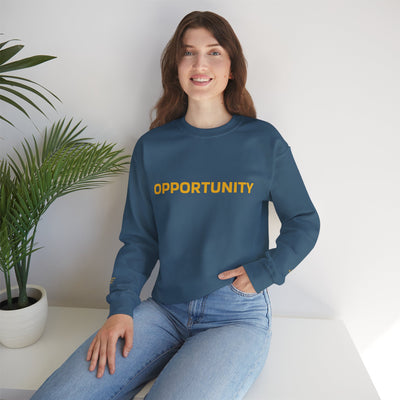 I Attract Opportunity Everyday