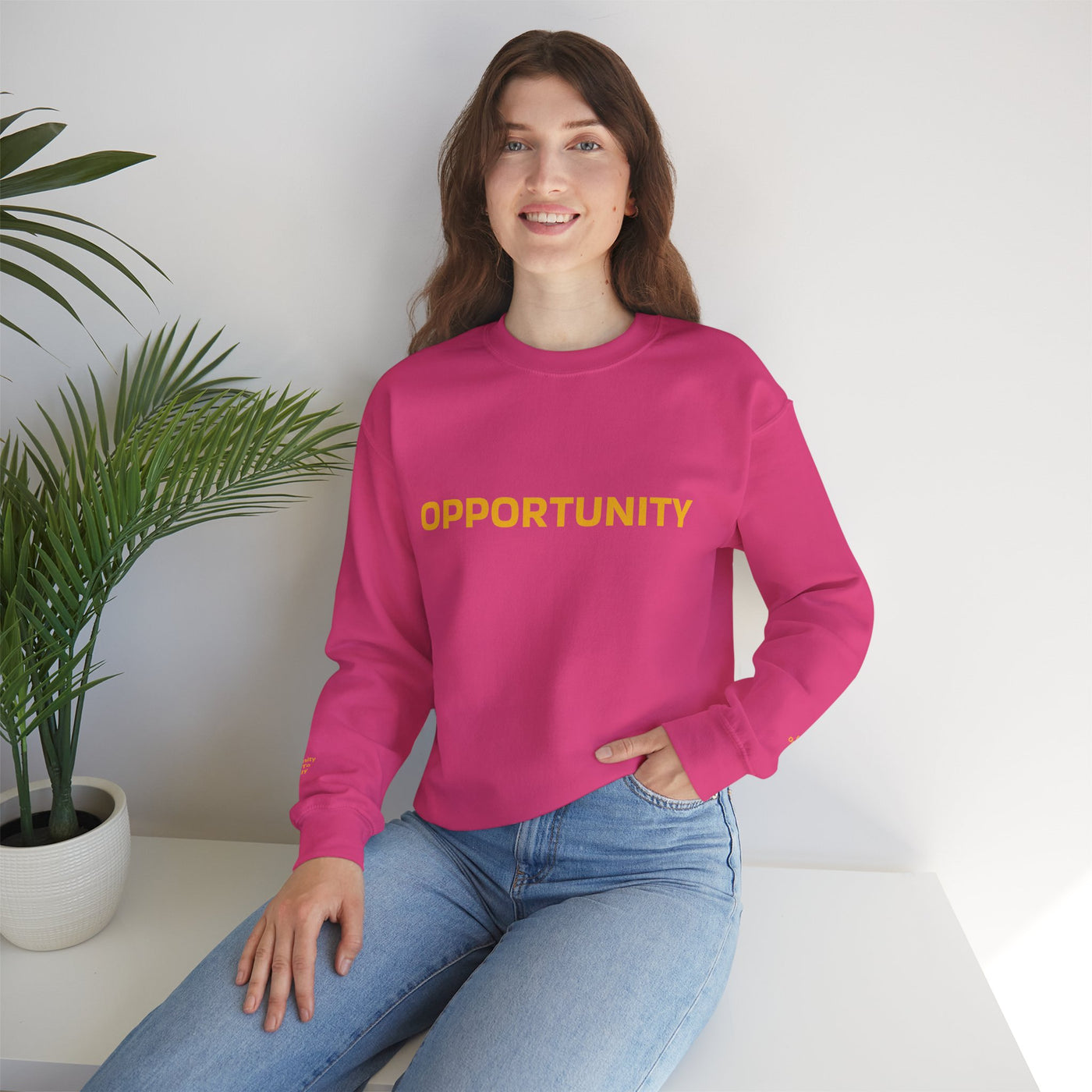I Attract Opportunity Everyday