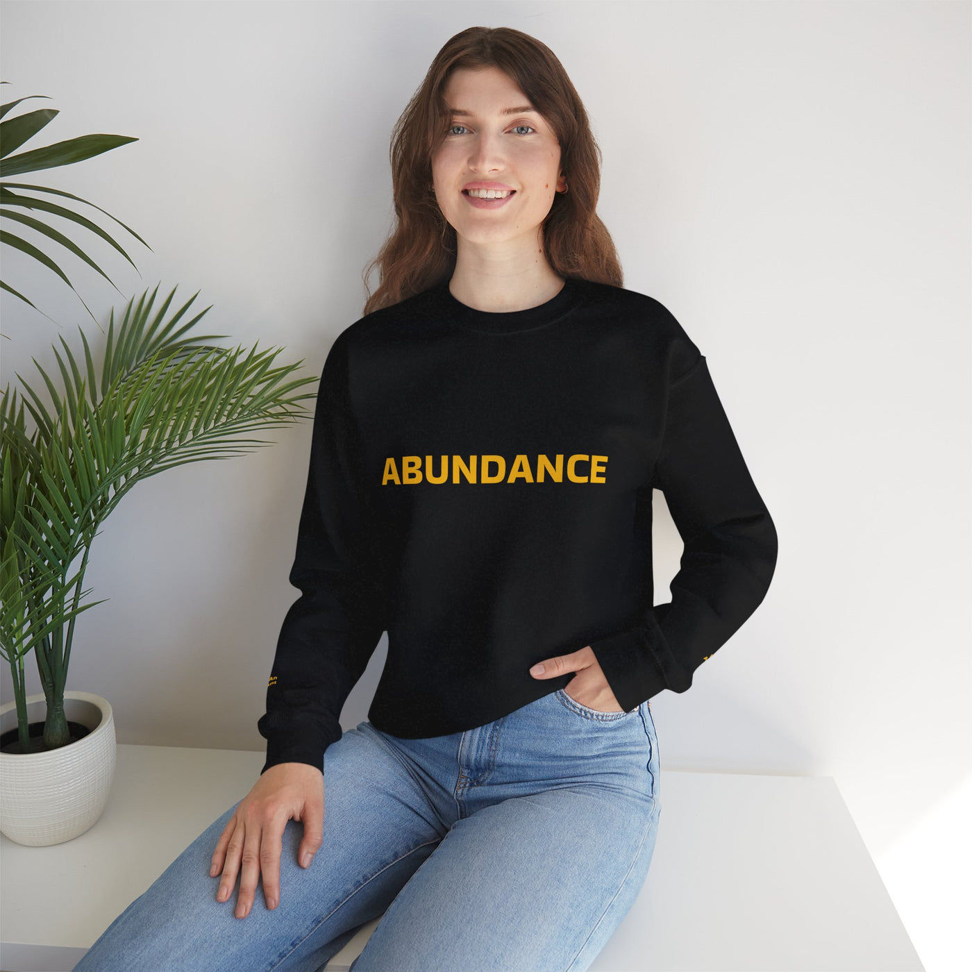 I Attract Abundance Everyday